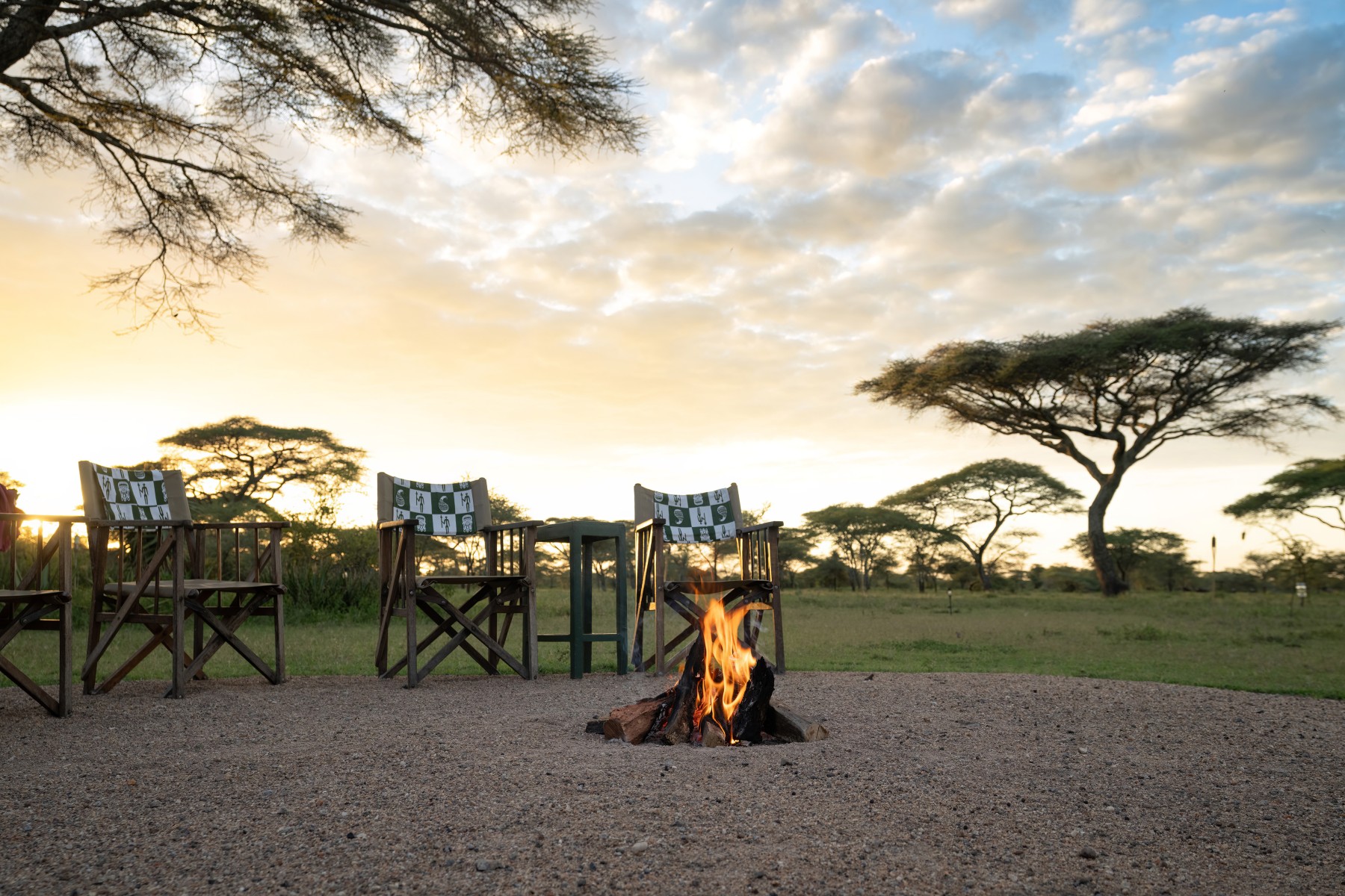 Ndutu Safari Lodge